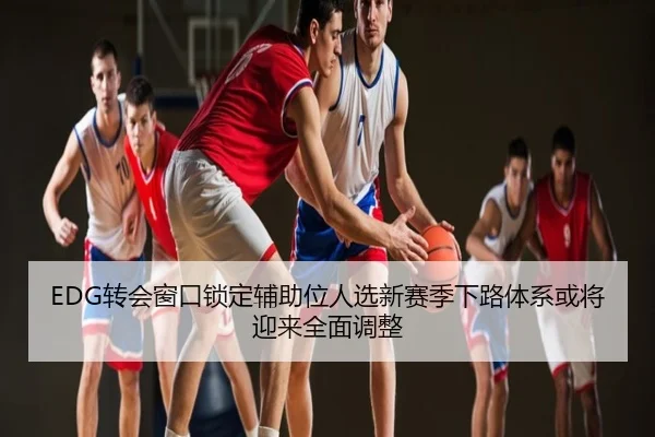 EDG转会窗口锁定辅助位人选新赛季下路体系或将迎来全面调整